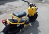 Honda Zoomer